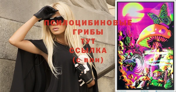 крисы Алзамай