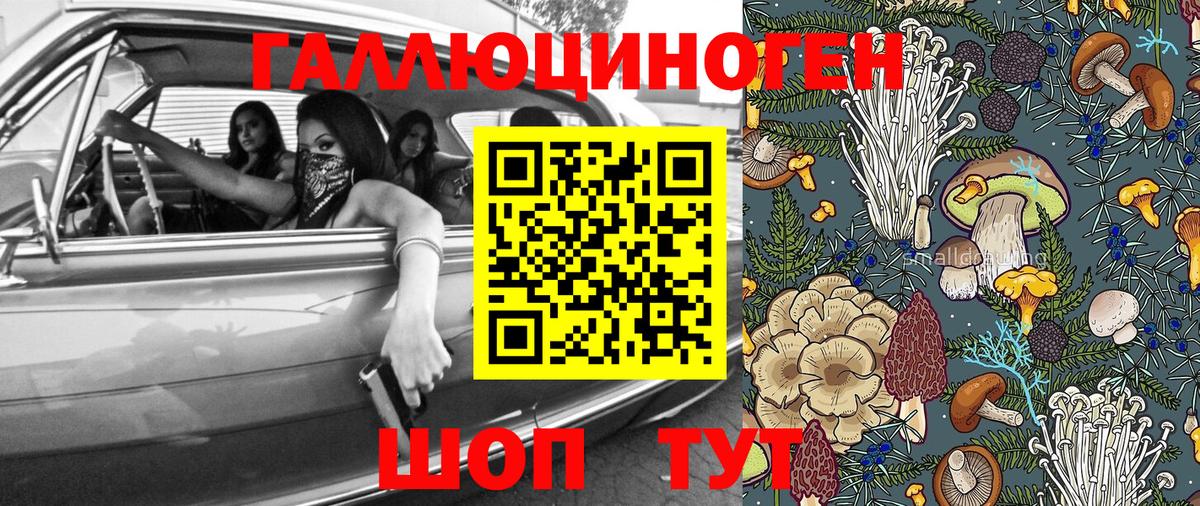 Галлюциногенные грибы GOLDEN TEACHER Слободской
