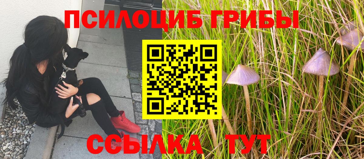 Псилоцибиновые грибы GOLDEN TEACHER  Вход с VPN  Псилоцибиновые грибы прущие грибы  Слободской 